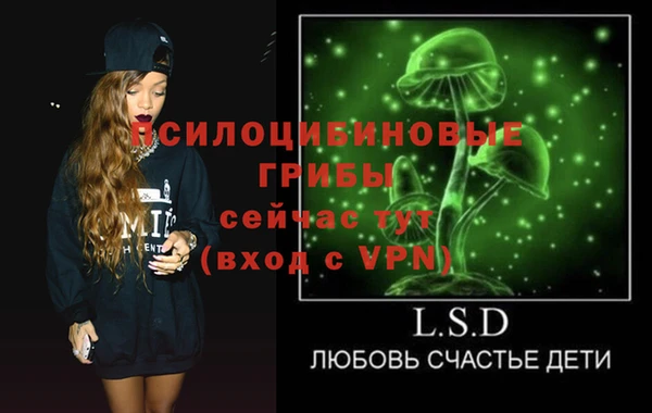 дурь Абинск