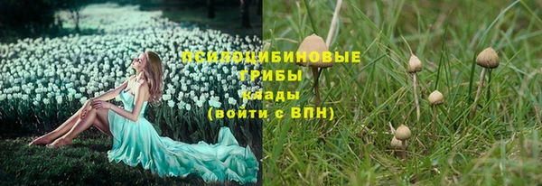 дурь Абинск