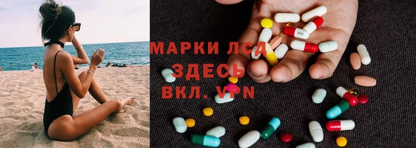 винт Алзамай