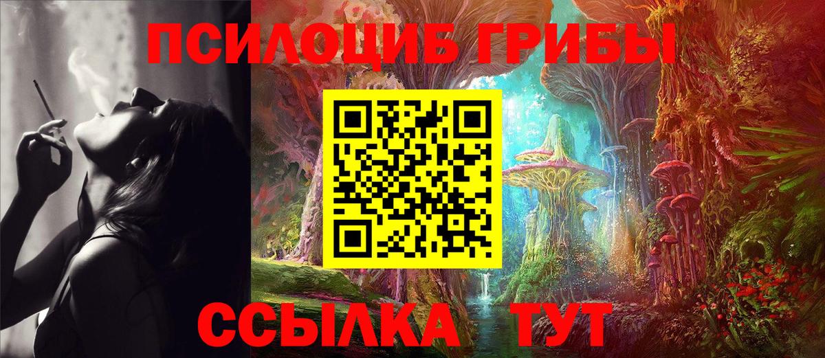 Псилоцибиновые грибы прущие грибы Прокопьевск